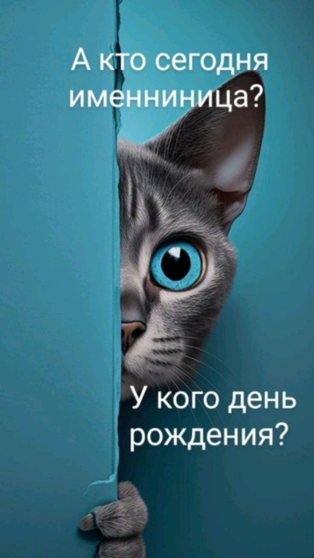 котик алекс