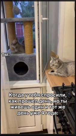19-07-2025
