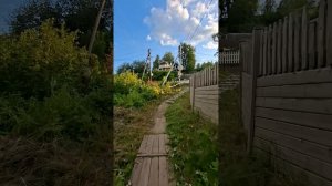 🌳 Плёс 💚 Подъём на Соборную Гору ⚡ от реки Шохонки 💧💧🏞️