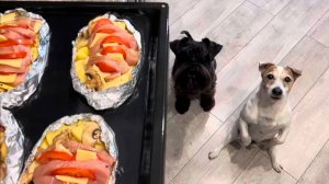 Готовим с котиками вкусные лодочки из индейки с картошкой и грибами