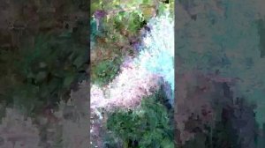 Прогулка 2 по старинной усадьбе