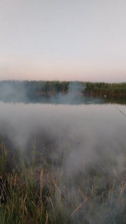 Отдых