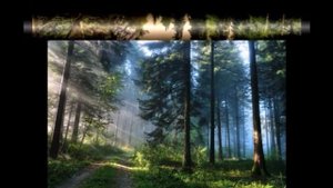 Природа России: часть 3