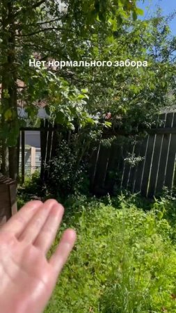 На участке 😂