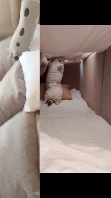 пушистый шпион смотреть онлайн