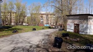 Субботник 2024 коллектив Леонова