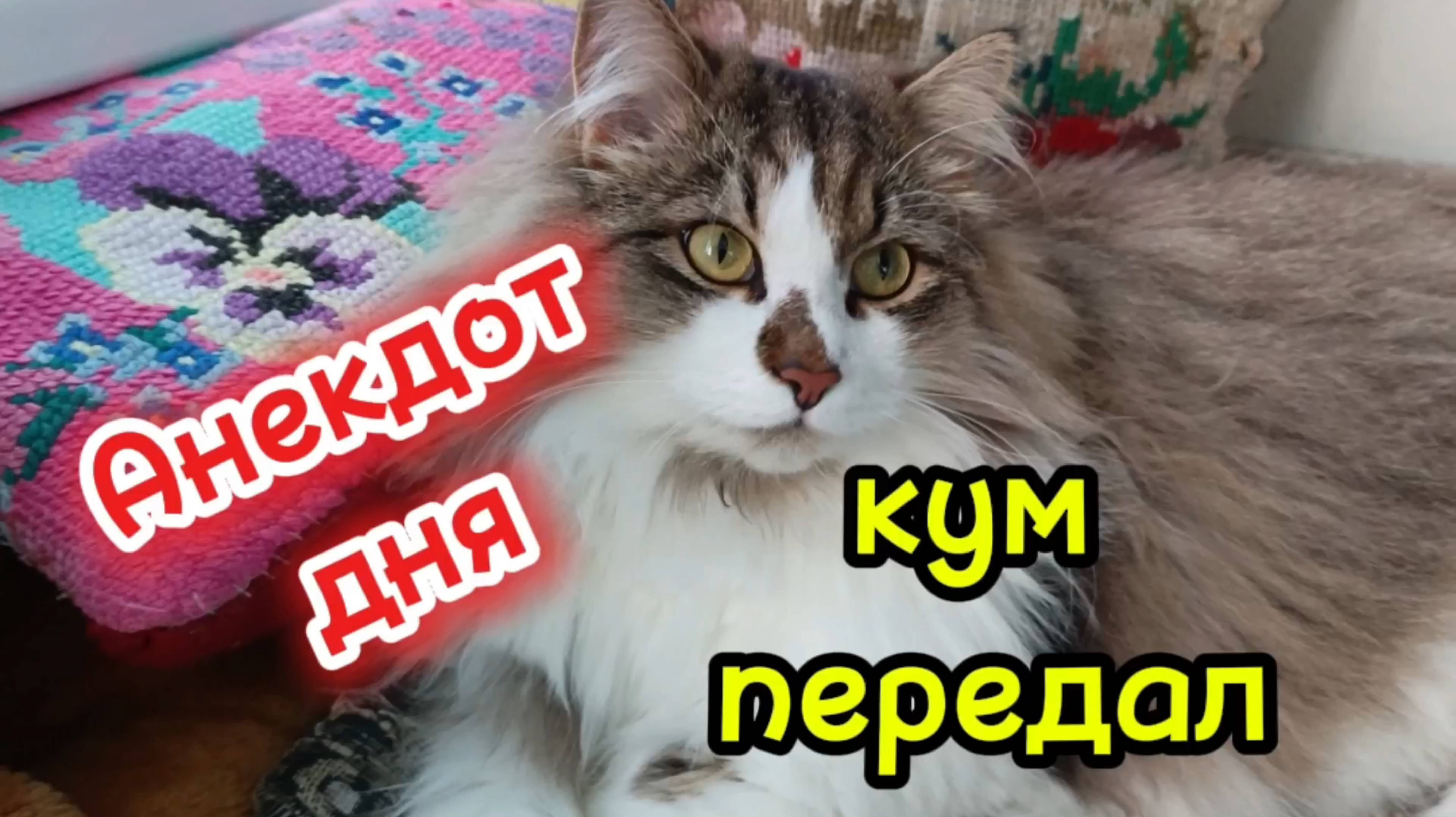Анекдот дня.  Про мужа и жену.