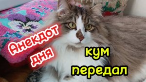 Анекдот дня.  Про мужа и жену.
