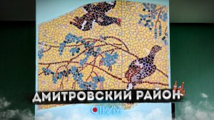 Дмитровский район – СТРИМ
