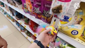 2024 В СЕВЕРОМОРСКЕ ОТЛИЧНАЯ ПОГОДА _ ДУМАЛИ ЗЫРИНГ, А ОКАЗАЛСЯ ШОПИНГ