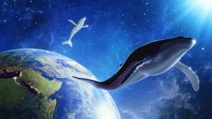 B.km 2025^ Спи и Исцеляйся ☀️ Всего Тела во Время Сна Обновления: сайт https://ГАРЯЕВ-МАТРИЦЫ.РФ