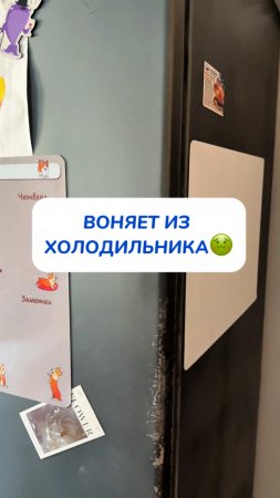 Как убрать запах из холодильника