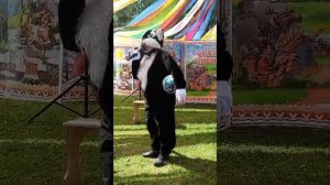 Сказки Сибири, сказочный герой КОТ