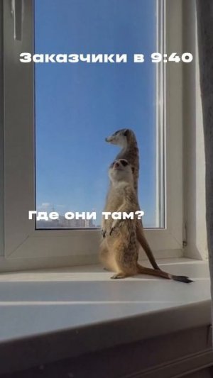 Мы назначили монтаж кухни в 10:00