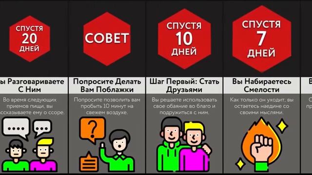 Как Выжить, Будучи Похищенным смотреть онлайн