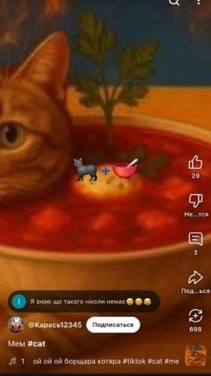 ой ой ой борщаракотяра