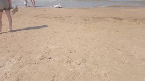 АНАПА. ПЛЯЖ ДЖЕМЕТЕ. 19.97.2025