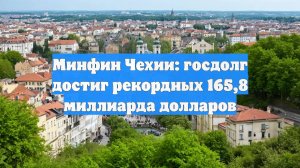 Минфин Чехии: госдолг достиг рекордных 165,8 миллиарда долларов