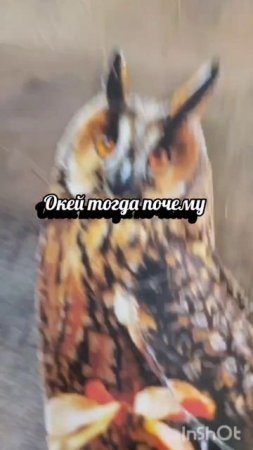Враньё ﹤﹤Финда﹥﹥