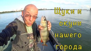 Рыбалка в жару на водохранилище. Ищем щуку и окуня.