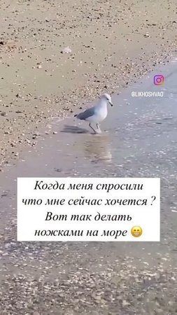 Атоми сетевой млм нового поколения
#онлайнработа
#сетевой 
#млм
#развитие
#лихошваатоми
#атомирф
#