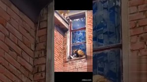 Вы не поверите...