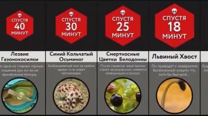 Если Тронешь Это - Ты Умрешь!