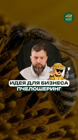 Как получать свой мёд без пасеки и зарабатывать на этом?
