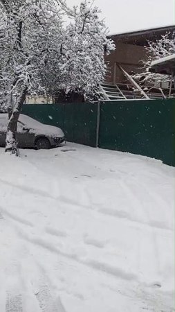 папа в 50км от нас и то же в снегу