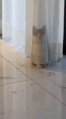 1000055364.mp4