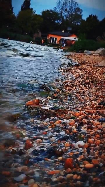 Вечер пятницы @SHEVAvaz смотреть онлайн