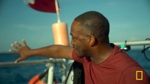 Anthony Mackie: Shark Beach | SPECIAL | Nat Geo Animals