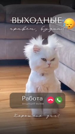 Не, не. Еще выходные)) Это ложная тревога)