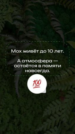 Стабилизированный мох