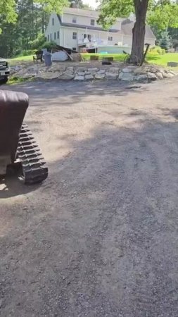 Шпороносная черепаха Френсис лакомится свежей зеленью