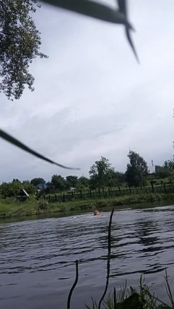 19-07-2025