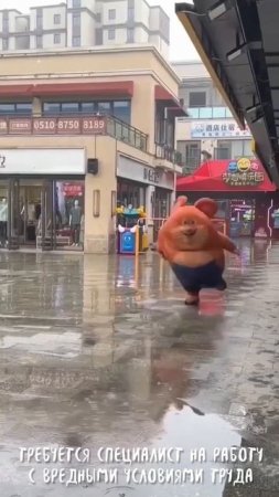 1000149943.mp4