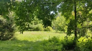 Парк (Автозавод)