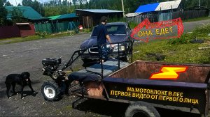 В ЛЕС НА МОТОБЛОКЕ/КОНЧИЛСЯ БЕНЗИН/ ПЕРВОЕ ВИДЕО ОТ ПЕРВОГО ЛИЦА
