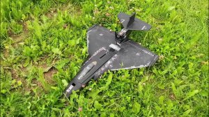 Радиоуправляемый самолет Jet 11 и зеленые поля.