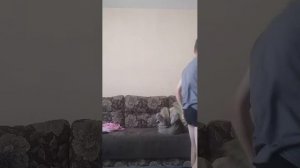 трансляция с Соней часть 2