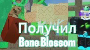 🫵Получил Bone blossom в вырасти сад!