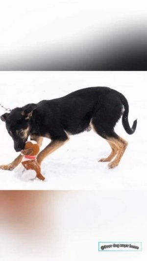 Нет смысла без тебя