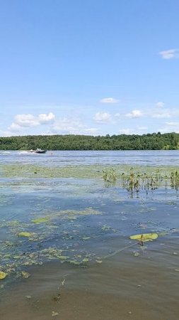 Плёс 2 💚 Вид на Волгу 🫧☀️⛴️