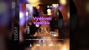 Vydávali cigánku ( DJ SkorpionJasod ) #музыка #песня #любовь #джасод #topc