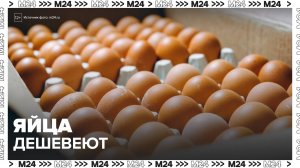 Российские фермеры начали избавляться от кур-несушек из-за падения цен на яйца - Москва 24