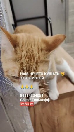 ЛЮДИ ВЫ ГДЕ ? 🙏🆘