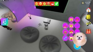 КАКАЮЩИЕ ПИТОМЦЫ ВЕРНУЛИСЬ ! НОВОЕ ОБНОВЛЕНИЕ В КОШАЧЬЕЙ ВЕЧЕРИНКЕ В РОБЛОКС | ROBLOX