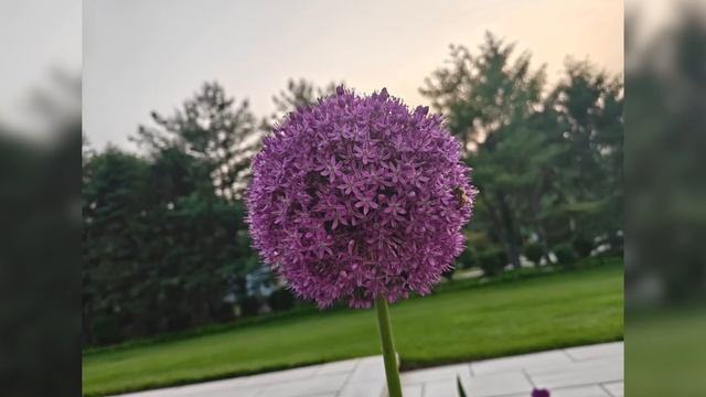 Обзор One Plus 13S: для чего нужна буква S? смотреть онлайн