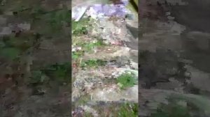 Прогулка по старинной усадьбе